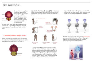 screening-urologia-int